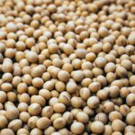 Soya (GMO y NON GMO)