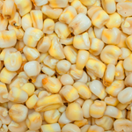 Maíz Blanco Transgénico (GMO)