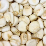 Maíz Blanco NO Transgénico (NON-GMO)